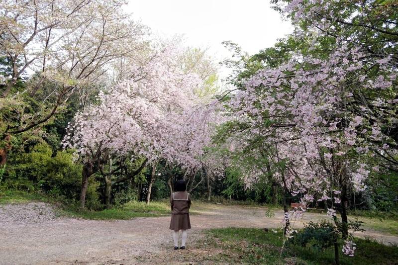 洲原社,愛知県日進市米野木町土岡１１３