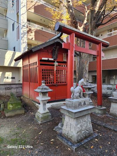 田中稲荷神社,見どころ,suzusuke 