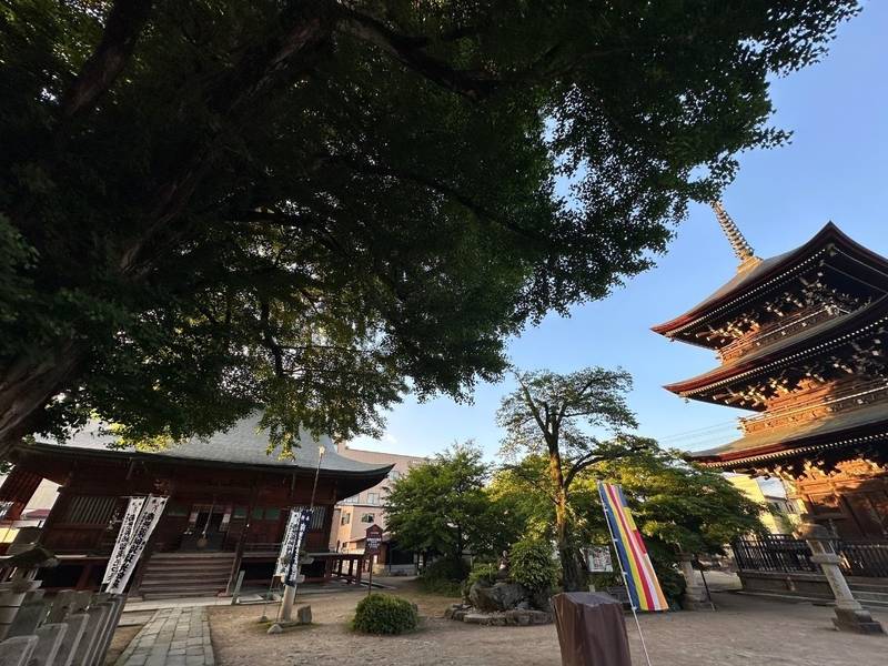 飛騨国分寺,岐阜県高山市総和町1-83