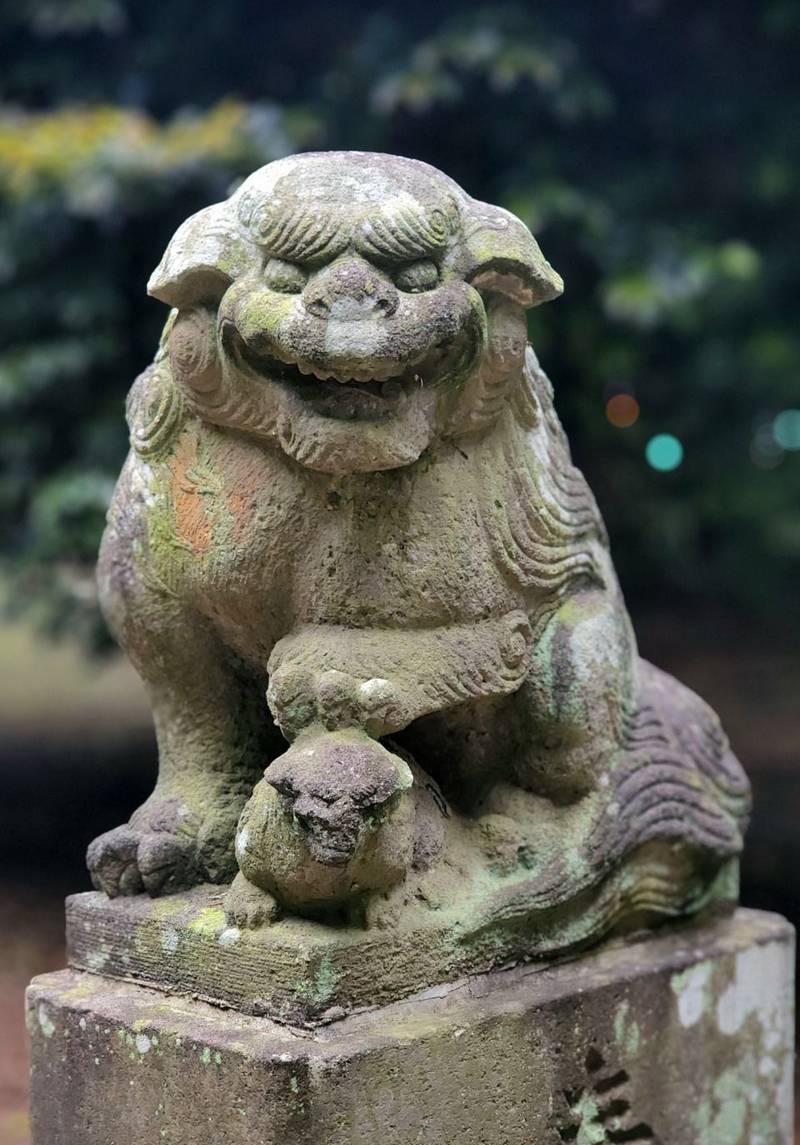 三嶋神社 (小金井),栃木県下野市小金井2292