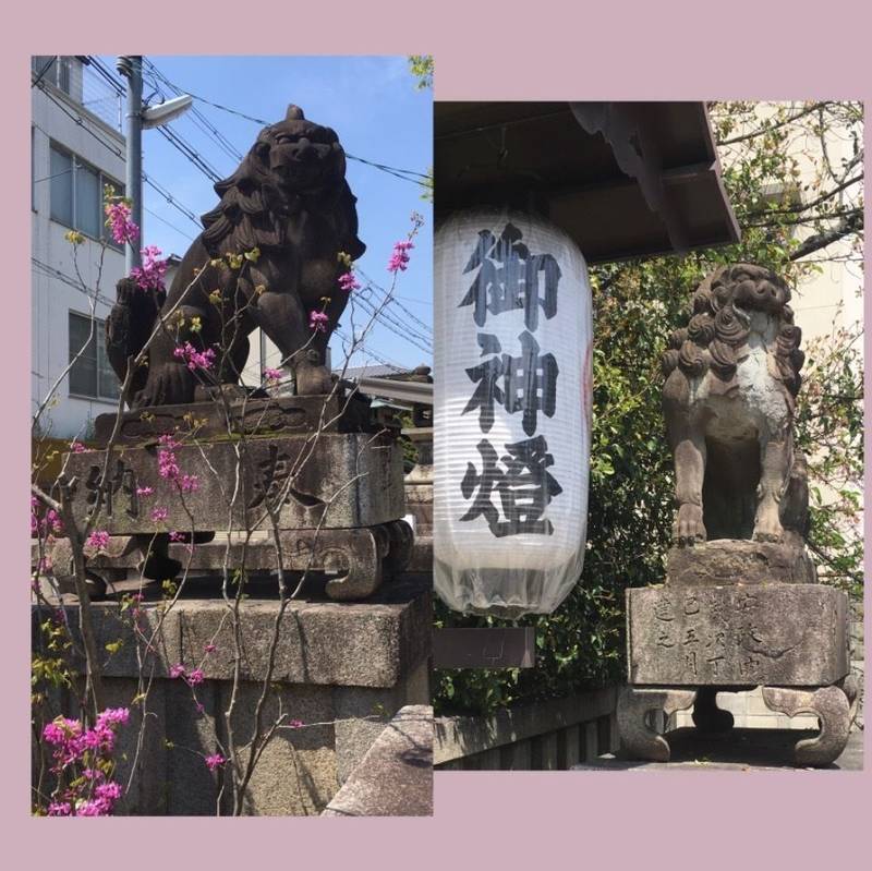安井金比羅宮 御朱印 京都市 京都府 Omairi おまいり 安井金比羅宮 御朱印 京都市 京都府 Omairi おまいり