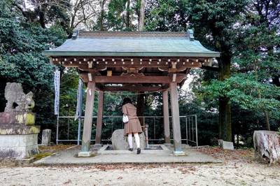 八幡神社  (水北町),見どころ,平沢凛
