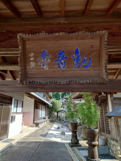 観音寺,見どころ,God’s cow