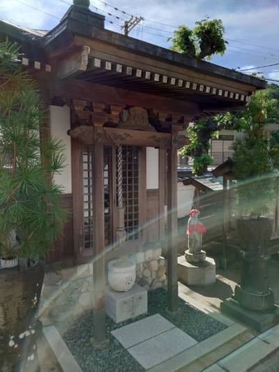 観音寺,見どころ,God’s cow