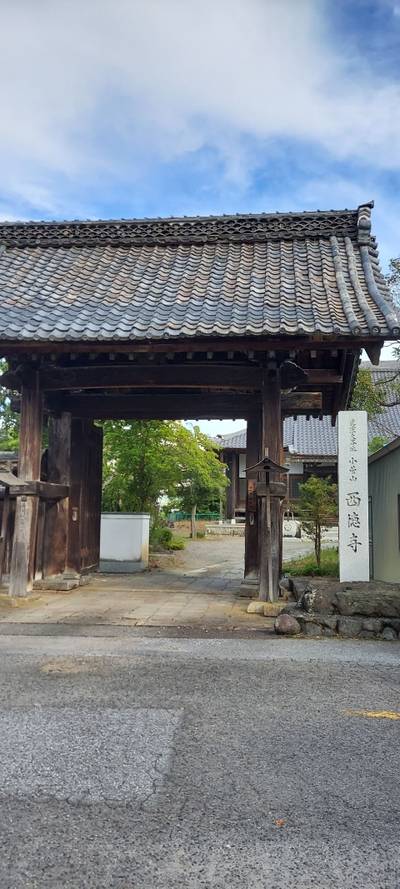 西徳寺,見どころ,けいくん