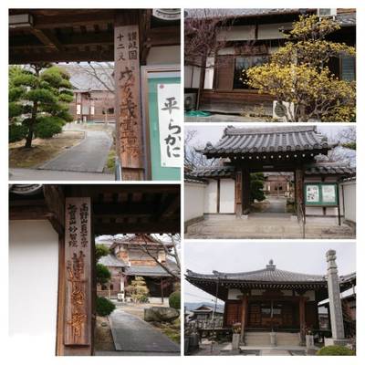 蓮台寺,見どころ,さくら
