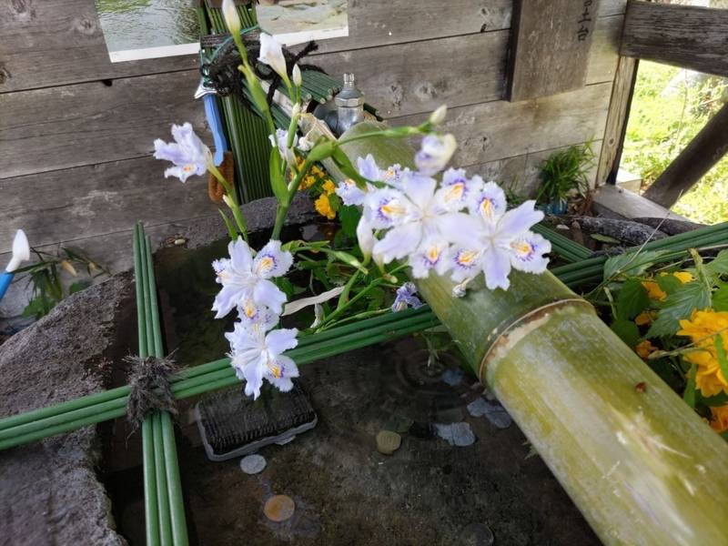 羽生天神社,宮城県黒川郡大郷町羽生字天神畑９