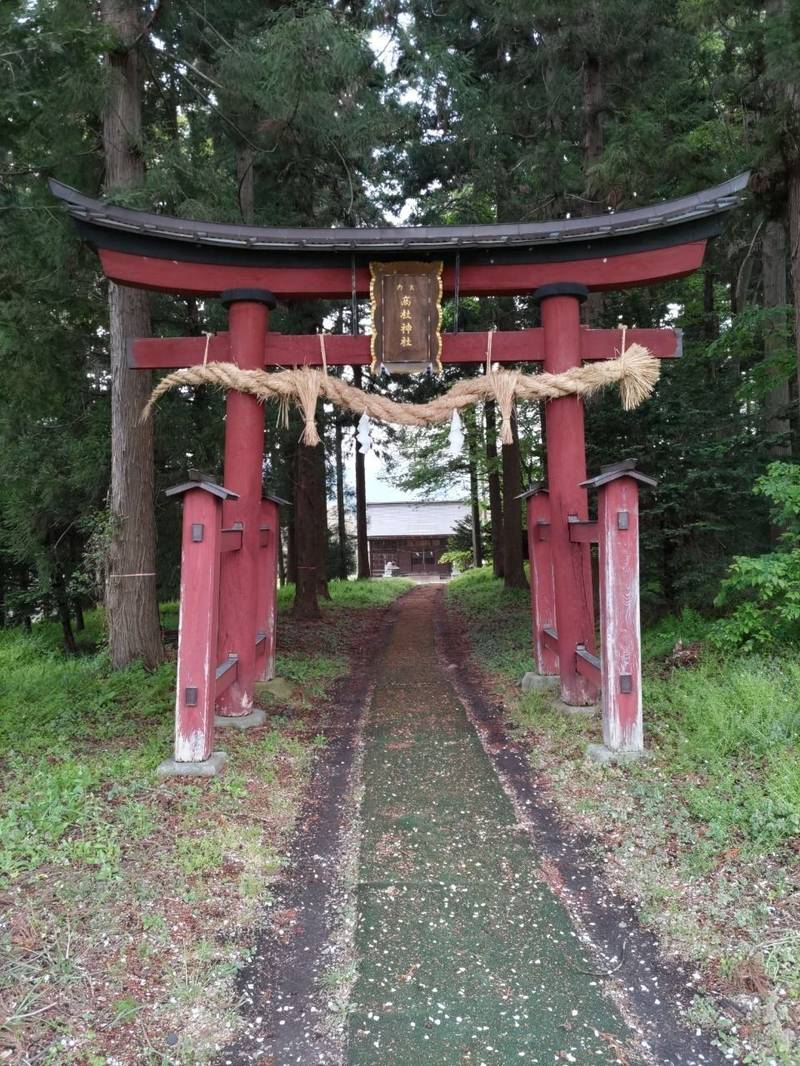 高杜神社   (中野) 里社,長野県中野市赤岩神宮寺市下563