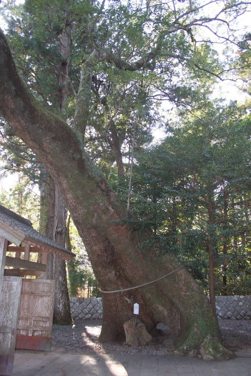 飛鳥神社,三重県尾鷲市曽根町 610