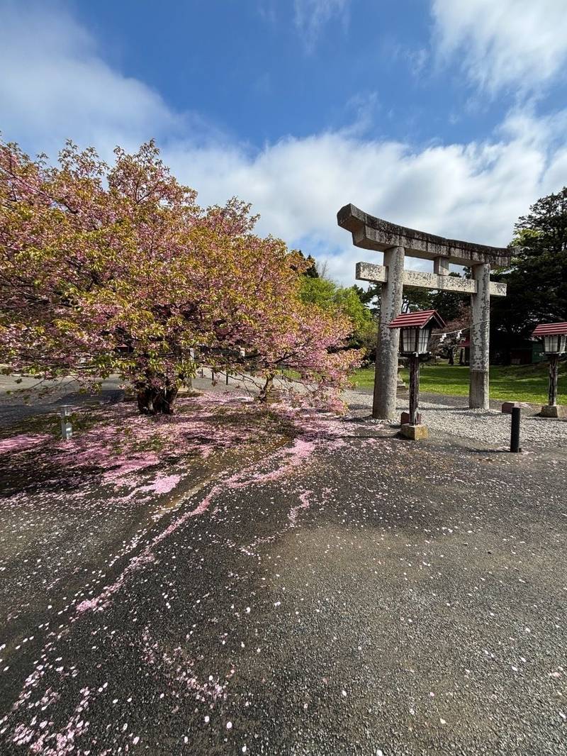 松前神社,北海道松前郡松前町松城
