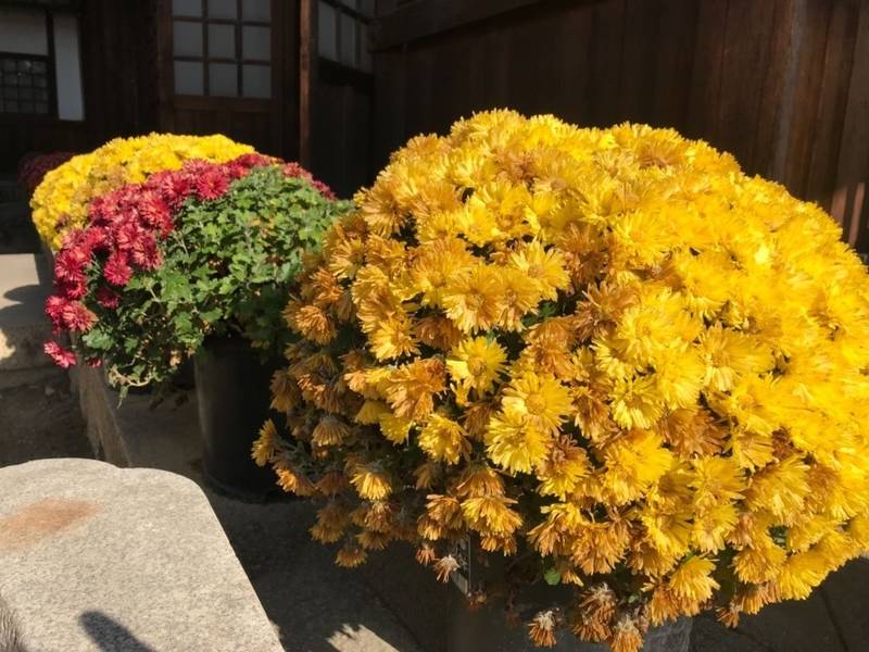 知立神社 御朱印 知立市 愛知県 Omairi おまいり 知立神社 御朱印 知立市 愛知県 Omairi おまいり