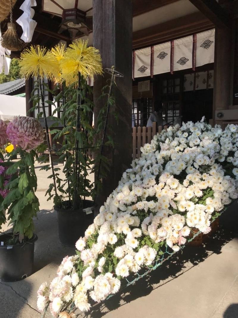 知立神社 御朱印 知立市 愛知県 Omairi おまいり 知立神社 御朱印 知立市 愛知県 Omairi おまいり