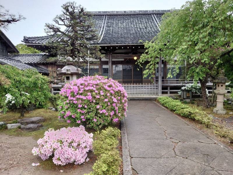 本境寺,福井県小浜市小浜竜田65