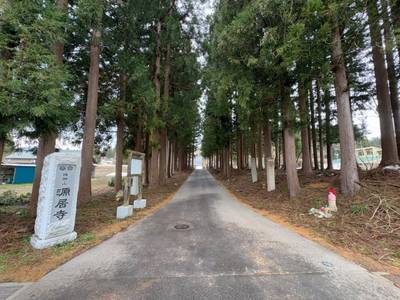 源居寺  (高峰観音),見どころ,GT23