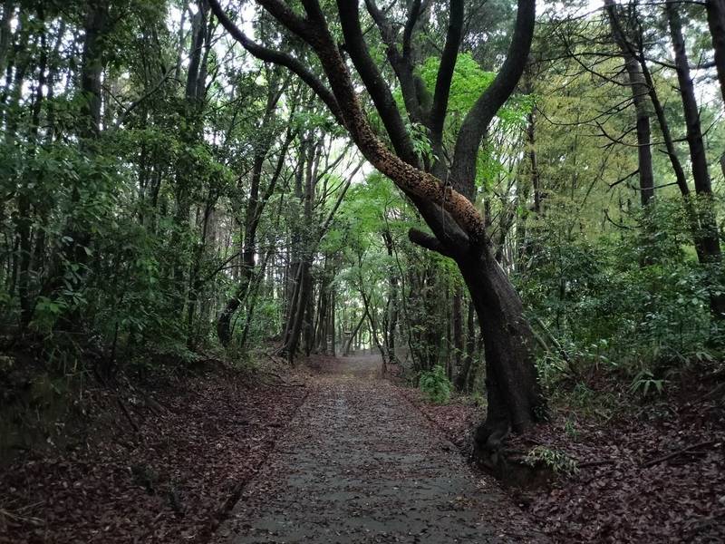 彌尼布理神社,三重県津市河芸町北黒田 2250