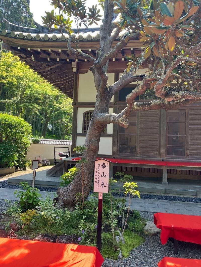 佛日庵,神奈川県鎌倉市山ノ内434 (円覚寺内)