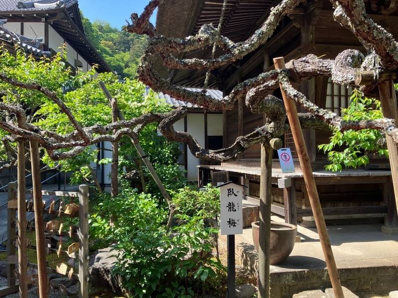 佛日庵,神奈川県鎌倉市山ノ内434 (円覚寺内)