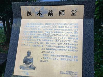 保木薬師堂,見どころ,you