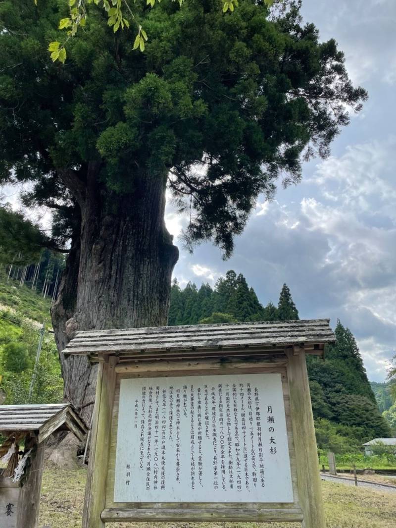 月瀬神社,長野県下伊那郡根羽村根平5814