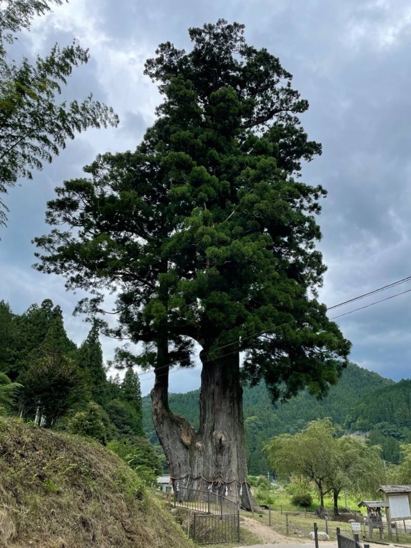 月瀬神社,長野県下伊那郡根羽村根平5814