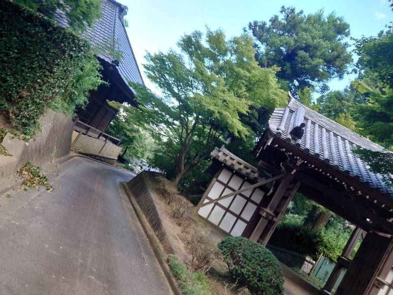 真照寺の見どころ