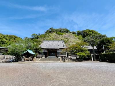 妙覚寺,見どころ,ららら