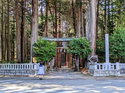 殿村八幡宮,見どころ,平沢凛
