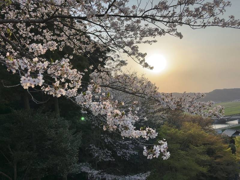 鎮国寺,福岡県宗像市吉田966