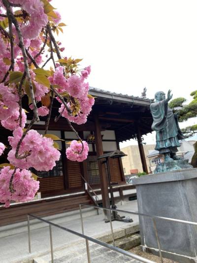 墨染寺,見どころ,宮清