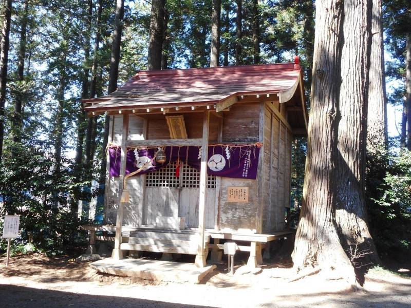 坪沼八幡神社の見どころ