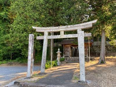 天津神社,見どころ,を神