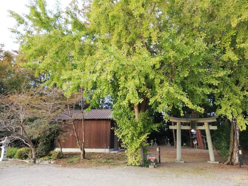 天日神社,滋賀県東近江市勝堂町1089-1