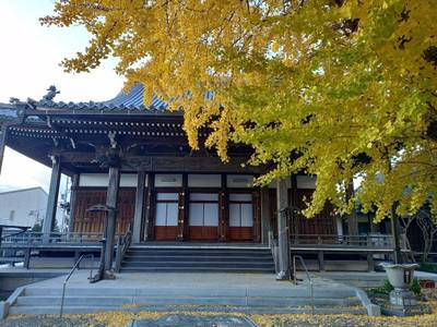 圓通寺,見どころ,ちゅら君