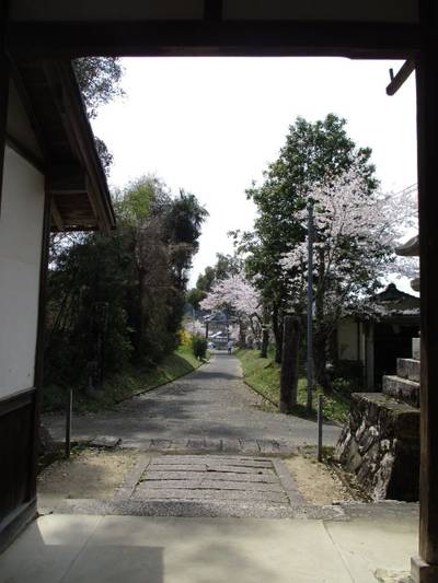 赤国神社,見どころ,とっちー