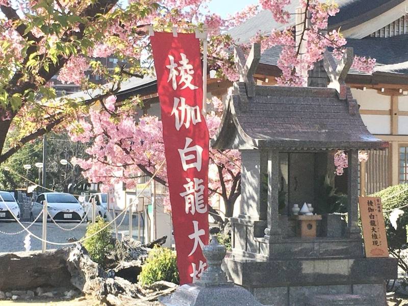 臨南寺 御朱印 大阪市 大阪府 Omairi おまいり