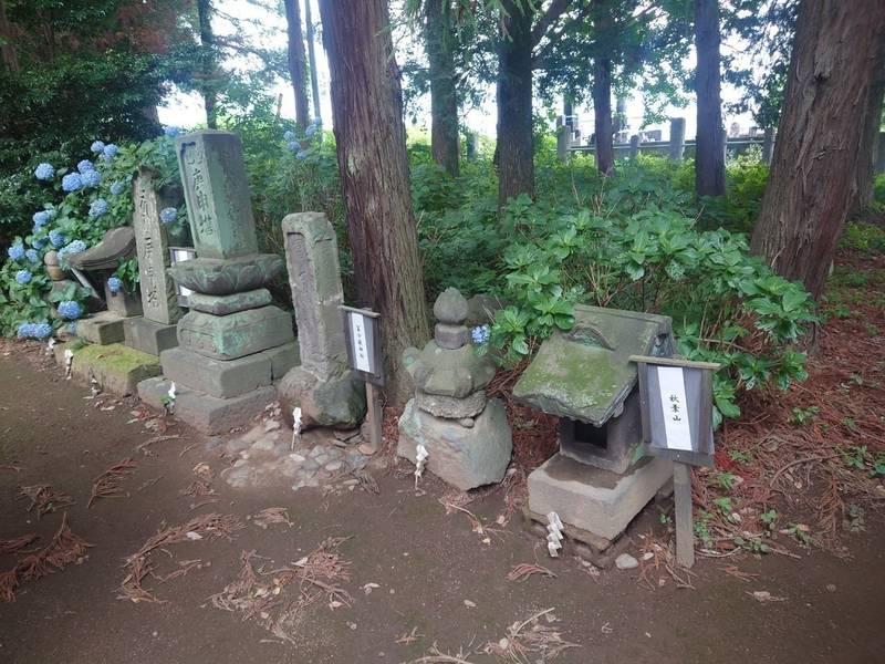大國神社  (大国神社),群馬県伊勢崎市境下渕名2827-1