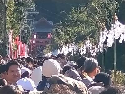 四十九所神社,見どころ,まっつん