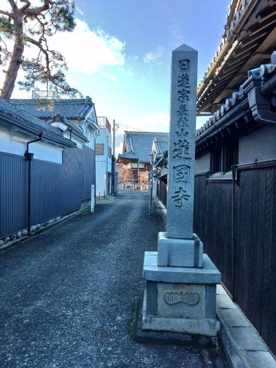 蓮国寺,見どころ,ちゅら君