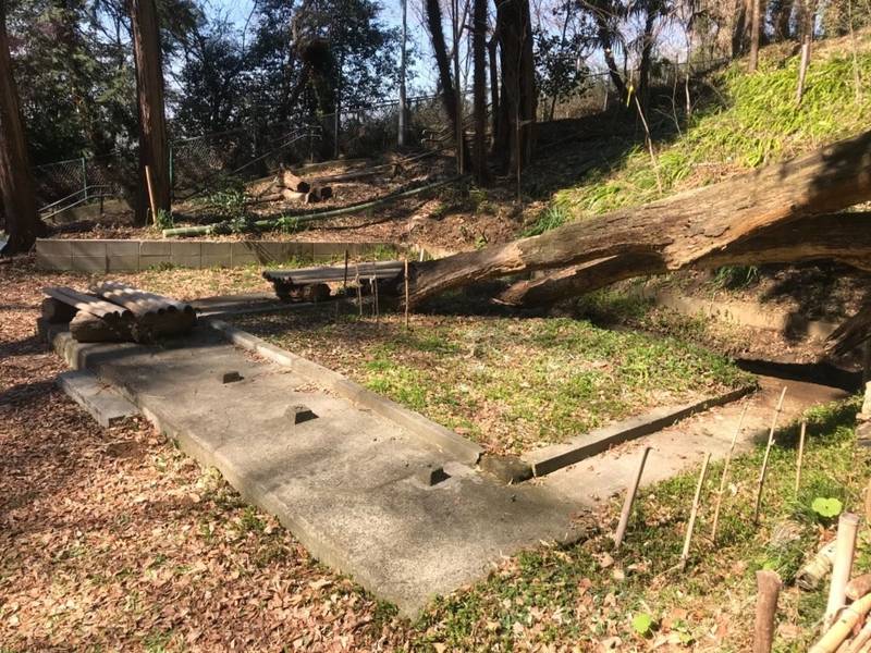 大豆戸不動尊,神奈川県横浜市港北区大豆戸町171-1