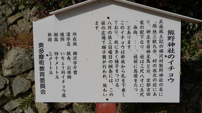 熊野神社 西多摩郡奥多摩町 東京都 Omairi おまいり