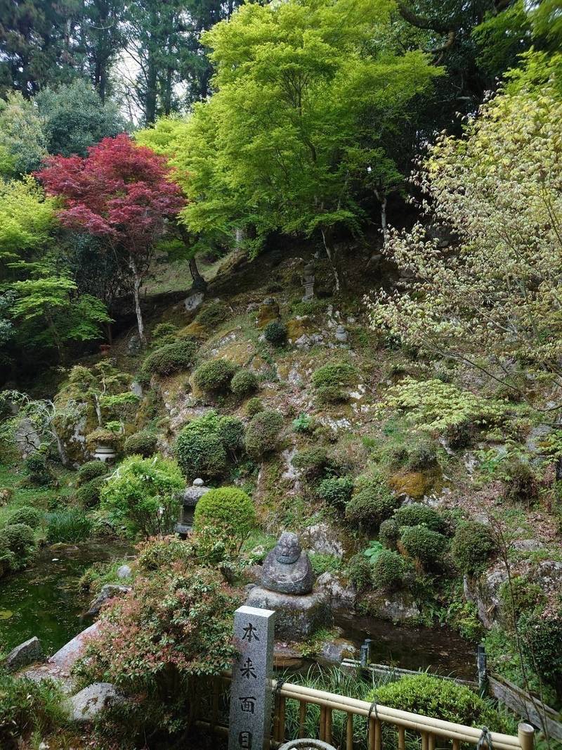 朝川寺,大阪府豊能郡豊能町木代１５３０−１