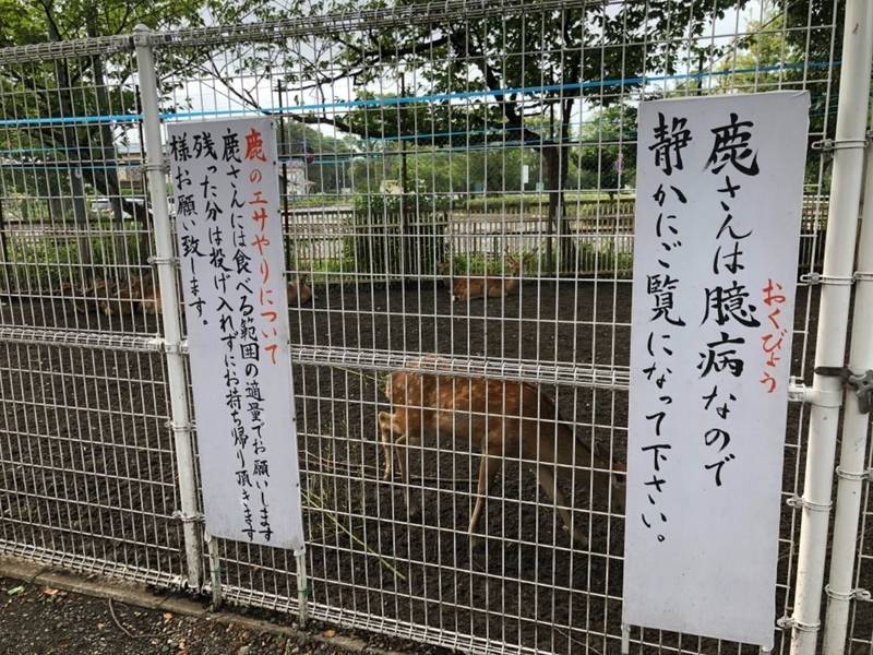 相州春日神社 御朱印 横浜市 神奈川県 Omairi おまいり