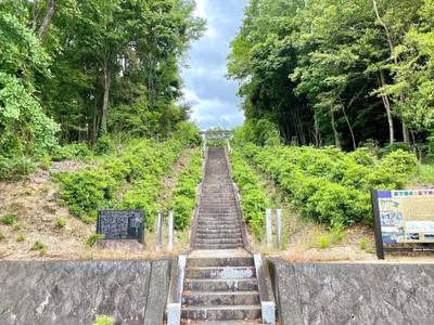 枝下川神社,見どころ,を神