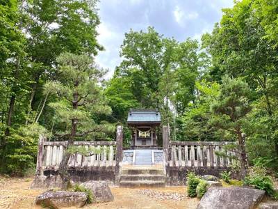 枝下川神社,見どころ,を神