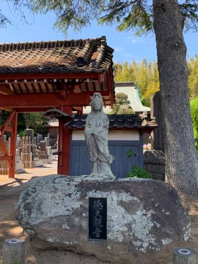 恵雲寺,見どころ,GT23