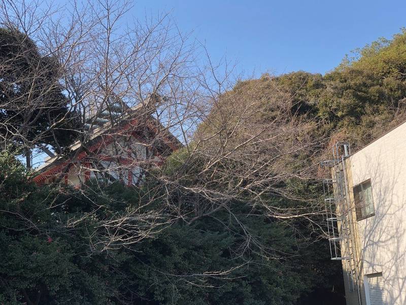 浮殿神社,福岡県京都郡苅田町１９