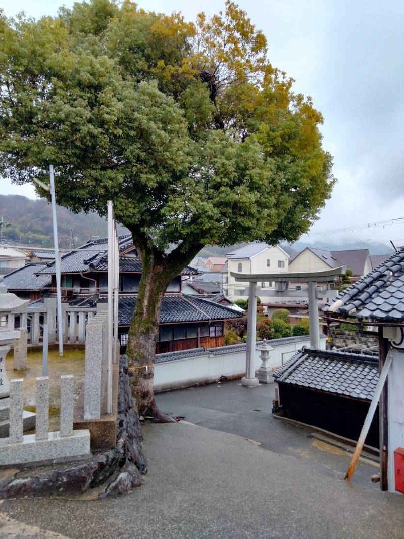 大賀世神社,大阪府東大阪市横小路町2-1-45