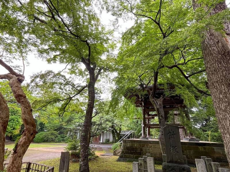 金乗院,千葉県野田市清水914