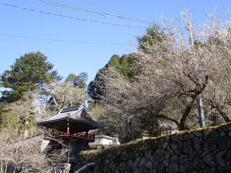 威光寺,京都府福知山市下佐々木７４２