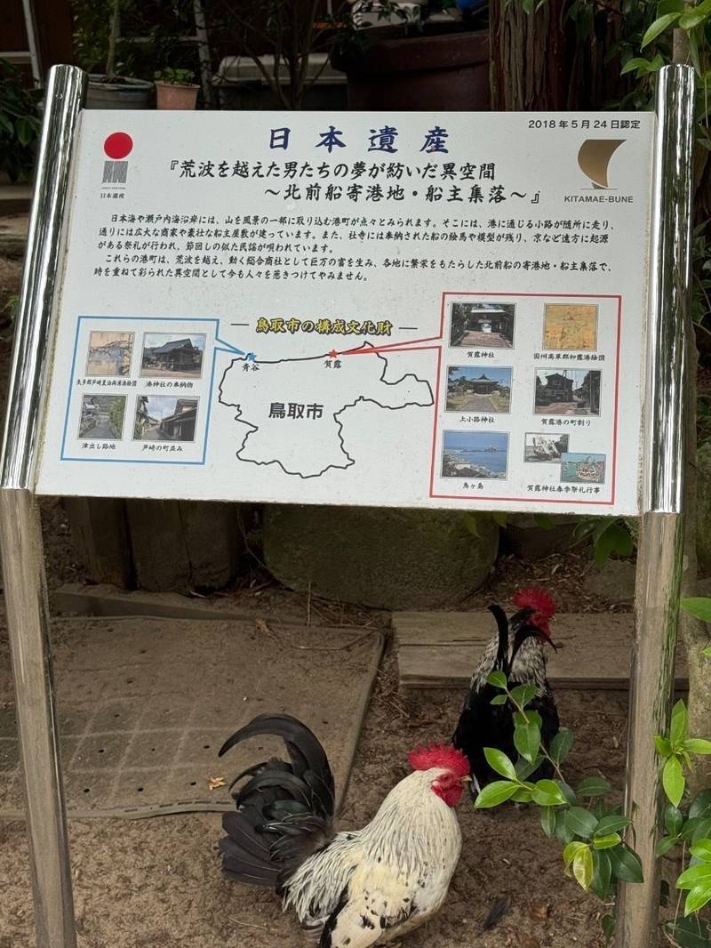 賀露神社,鳥取県鳥取市賀露町北1-21-8
